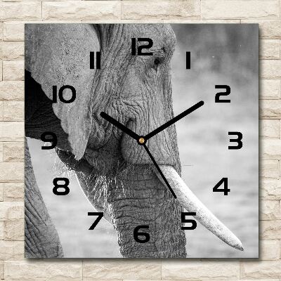 Square wall clock Elephant