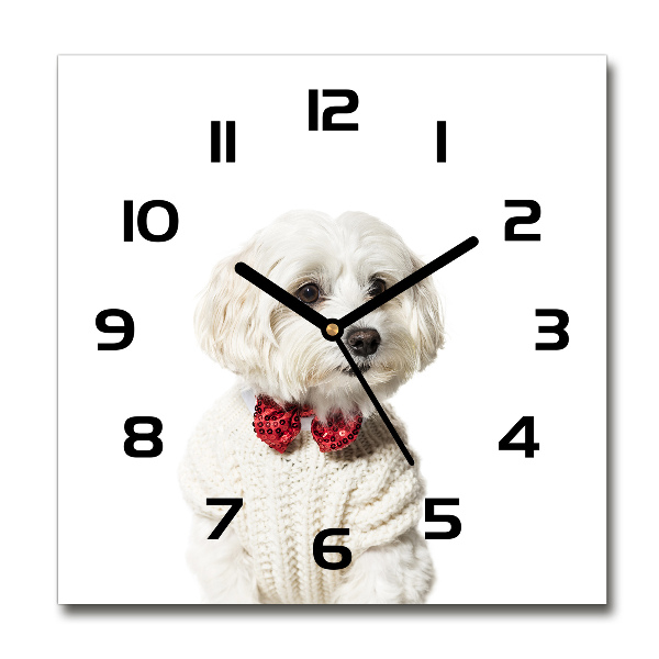 Square glass wall clock Maltese in a bow tie