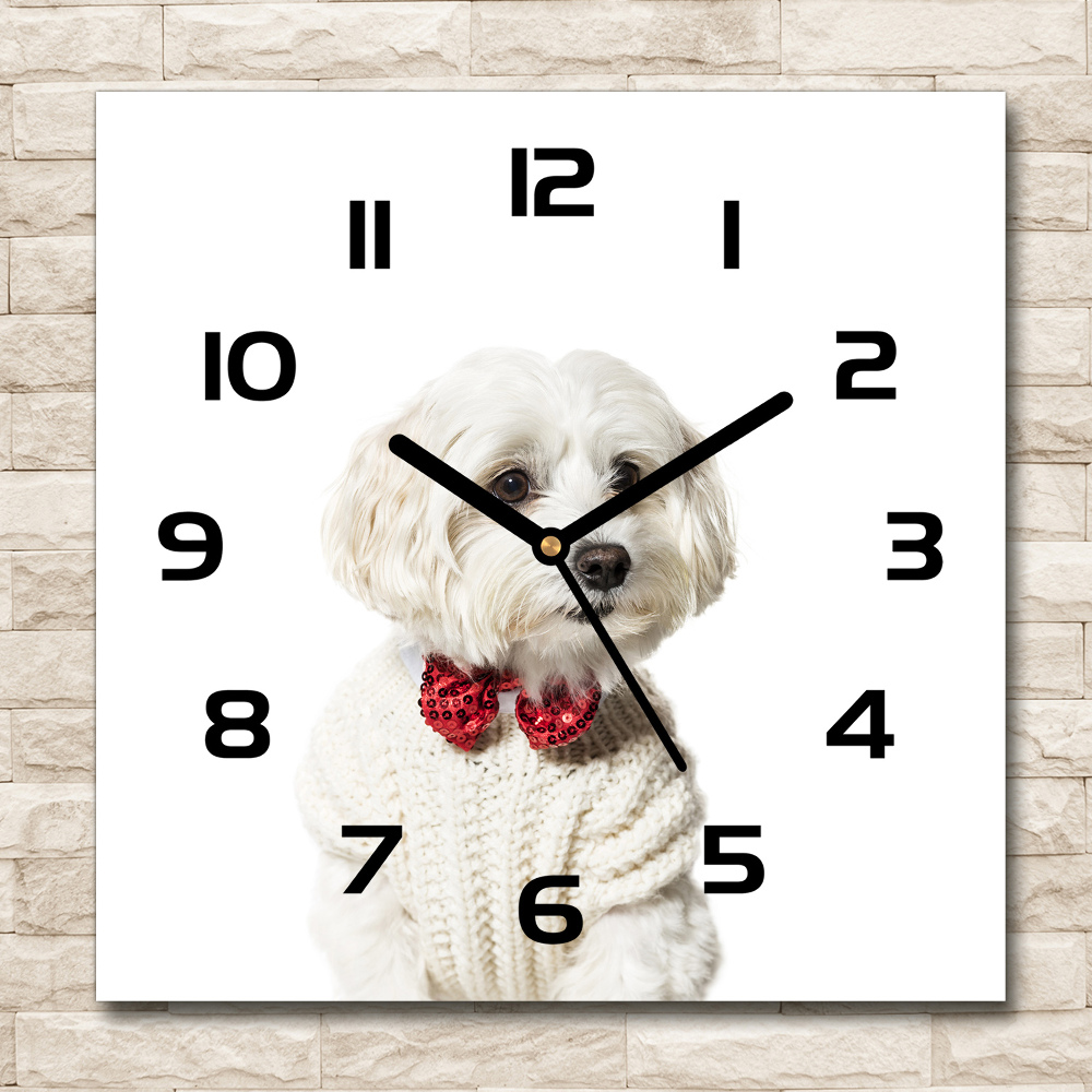 Square glass wall clock Maltese in a bow tie