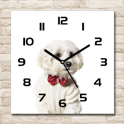 Square glass wall clock Maltese in a bow tie