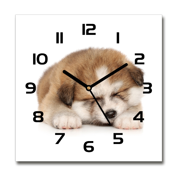 Square glass wall clock Akita puppy