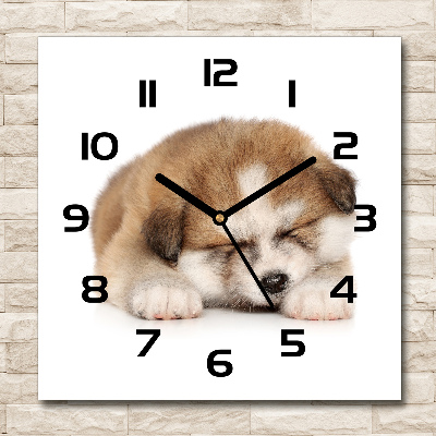 Square glass wall clock Akita puppy