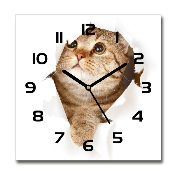 Square wall clock Cat