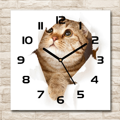 Square wall clock Cat