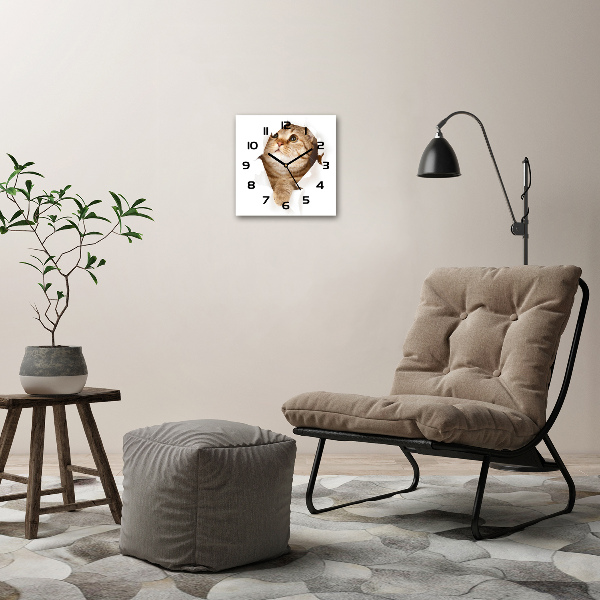 Square wall clock Cat