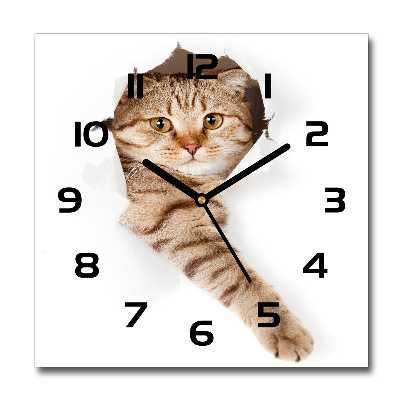 Square glass wall clock Cat