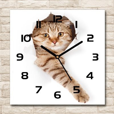 Square glass wall clock Cat