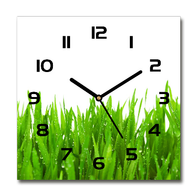 Square wall clock Grass