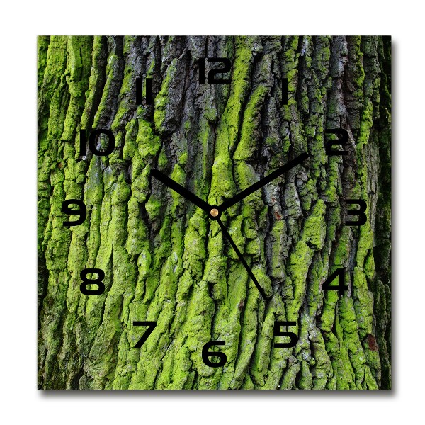 Square kitchen clock Tree bark