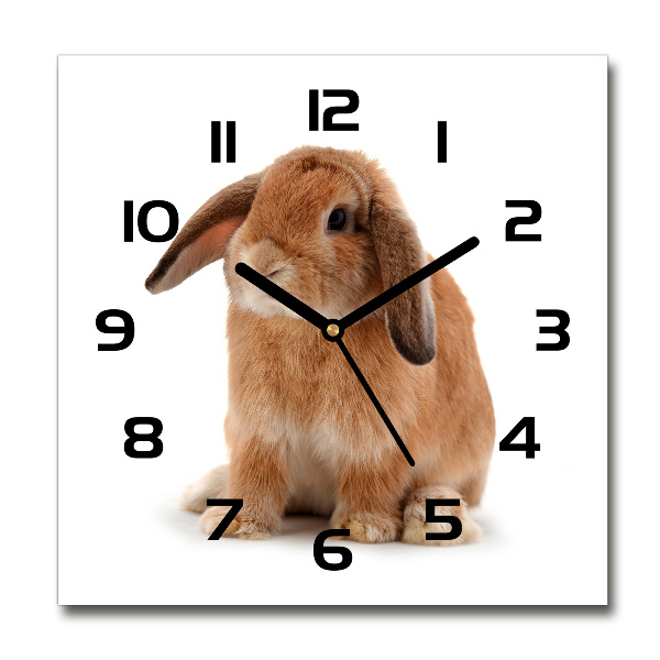 Square wall clock Rabbit ore