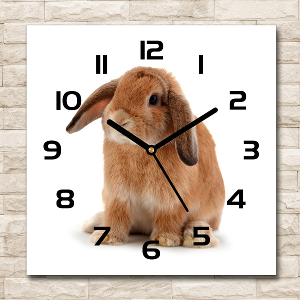 Square wall clock Rabbit ore