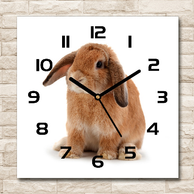 Square wall clock Rabbit ore