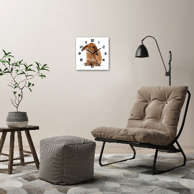 Square wall clock Rabbit ore