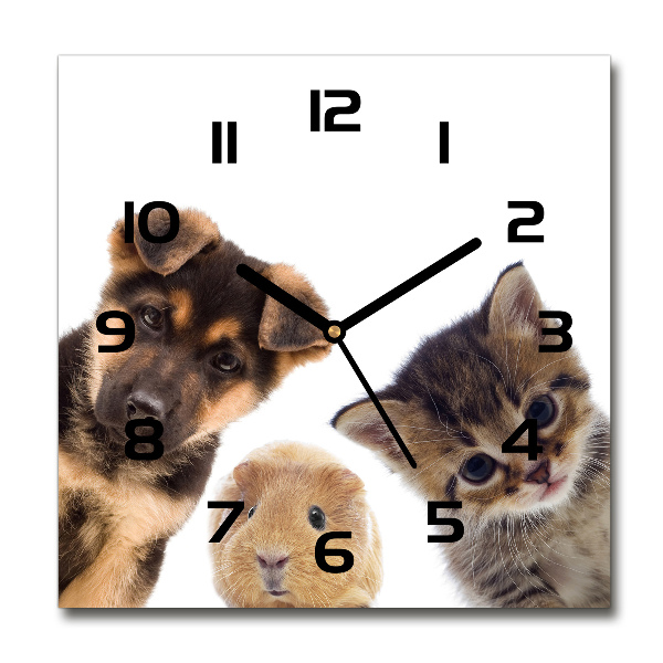 Square glass wall clock Pets