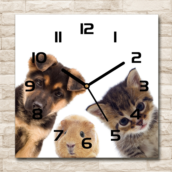 Square glass wall clock Pets