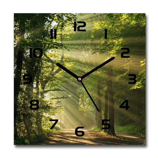 Square glass wall clock Forest in the sun