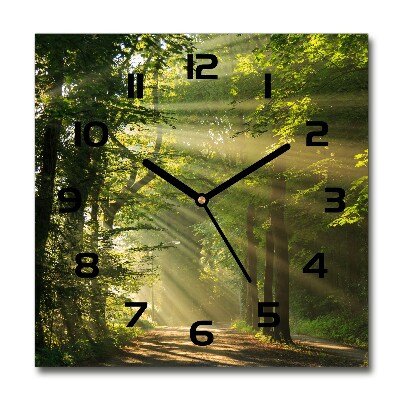 Square glass wall clock Forest in the sun