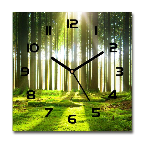 Square wall clock Forest in the sun