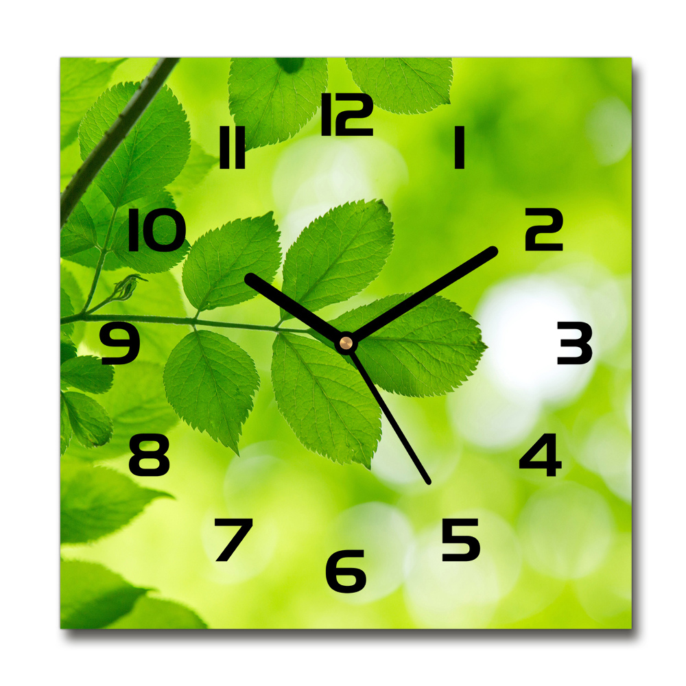 Square kitchen clock Green leaves