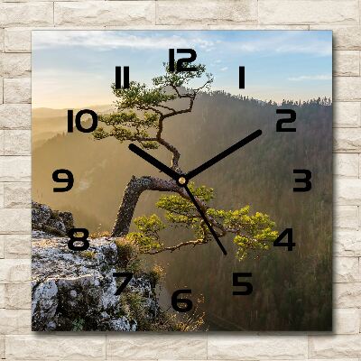 Square wall clock Sokolica Pieniny