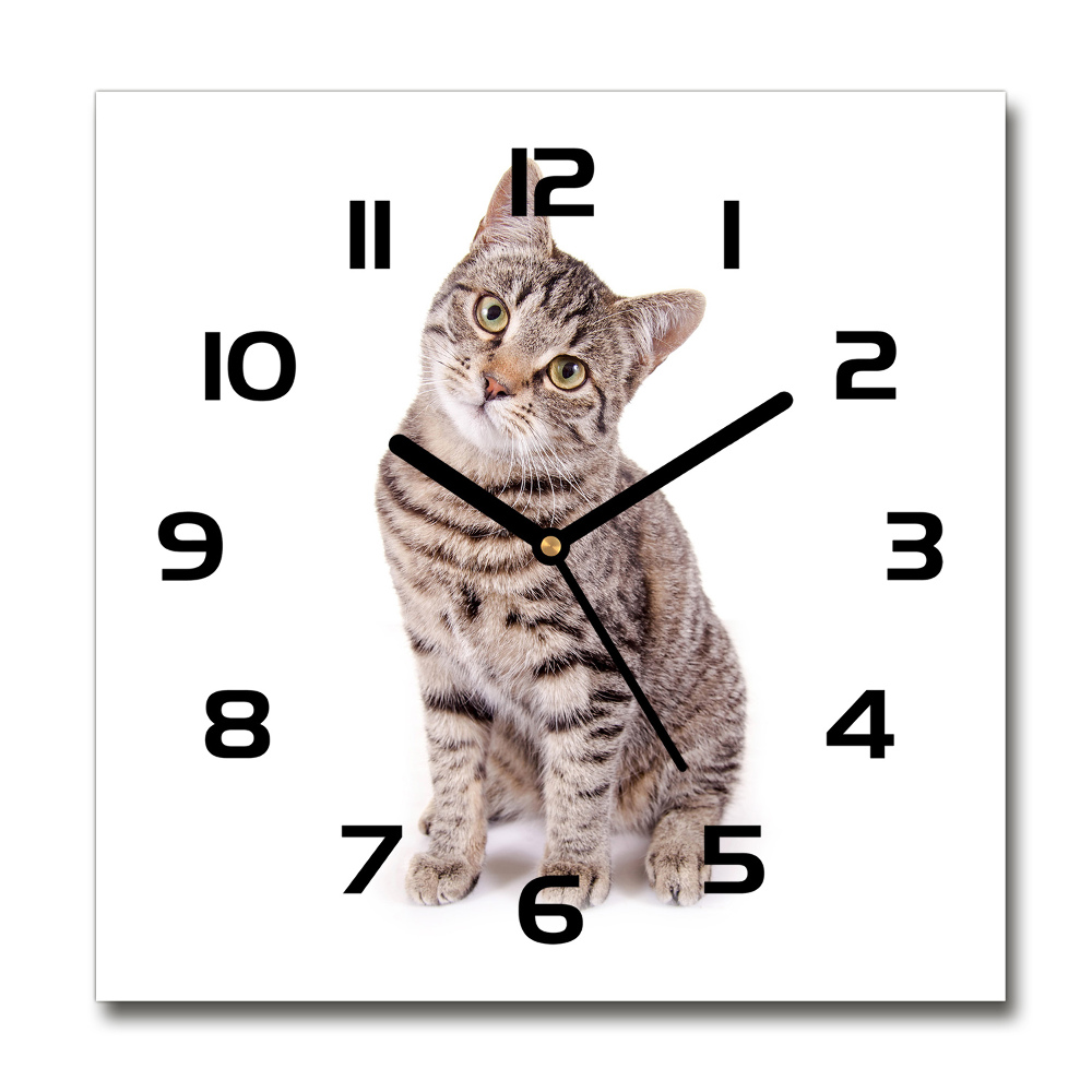 Square wall clock Cat