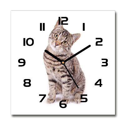 Square wall clock Cat