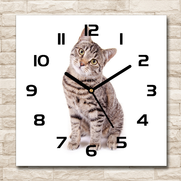 Square wall clock Cat