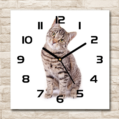 Square wall clock Cat