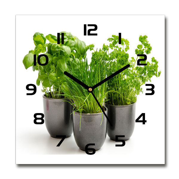 Square wall clock Herbs in pots