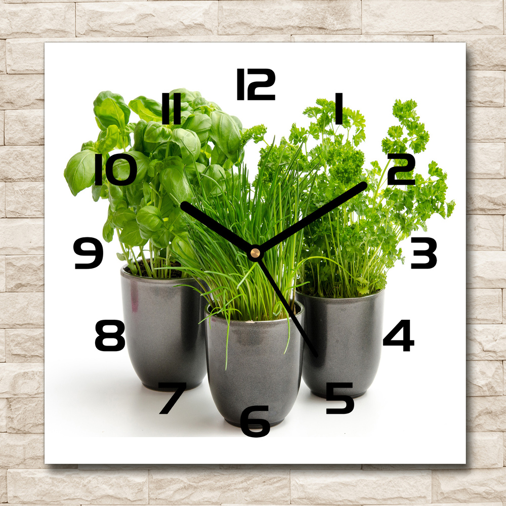 Square wall clock Herbs in pots