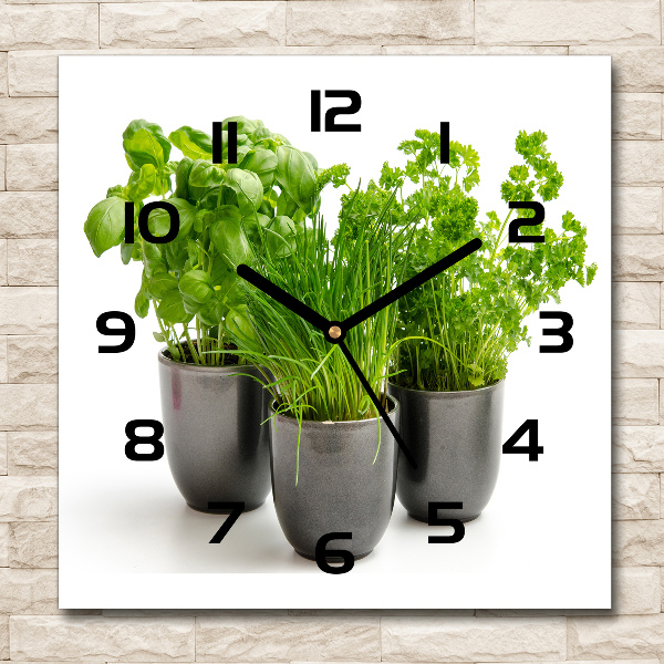 Square wall clock Herbs in pots