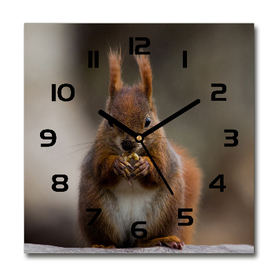 Square wall clock Squirrel