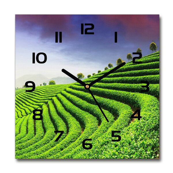 Square kitchen clock Tea plantation