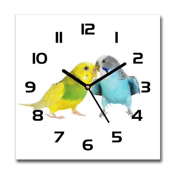 Square wall clock Faded parakeets