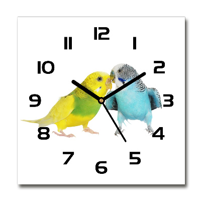 Square wall clock Faded parakeets