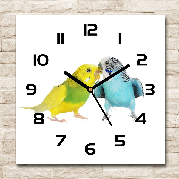 Square wall clock Faded parakeets