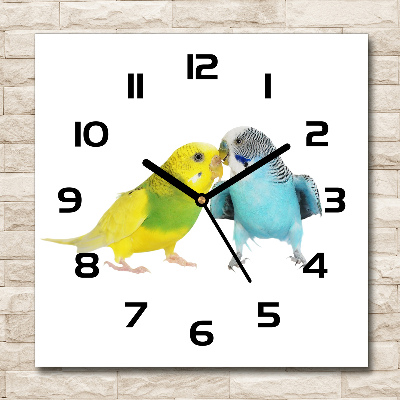 Square wall clock Faded parakeets