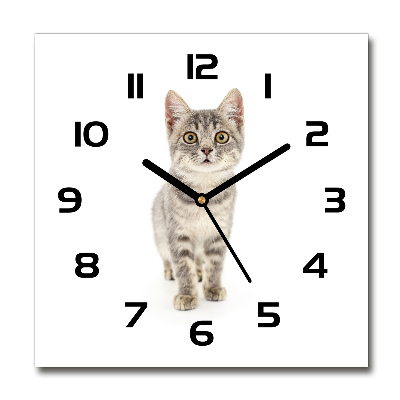 Square wall clock Gray cat