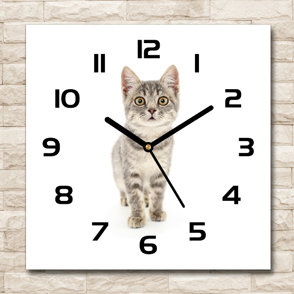 Square wall clock Gray cat