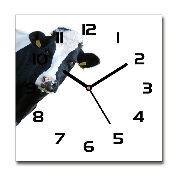 Square wall clock Cow