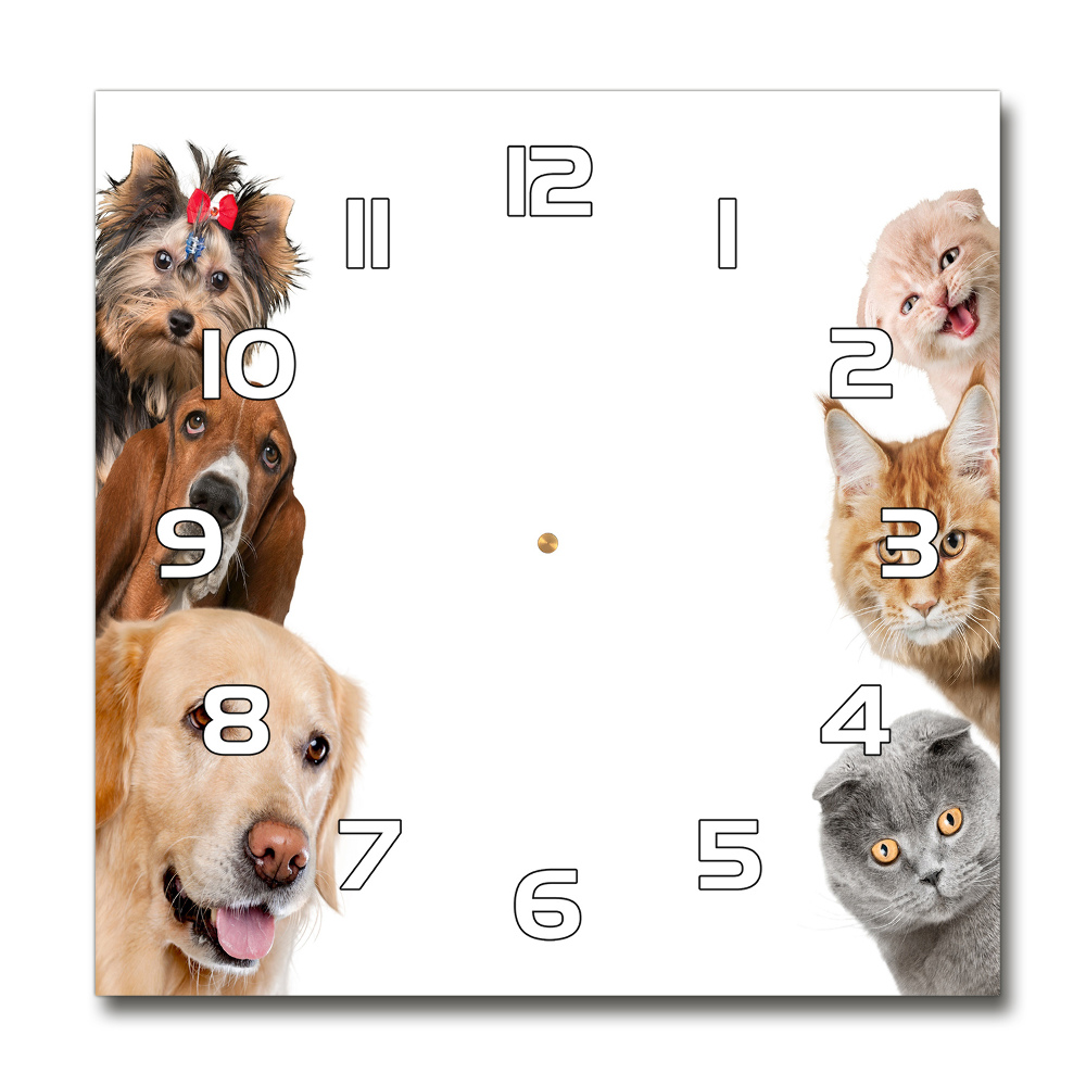 Square glass wall clock Dogs and cats