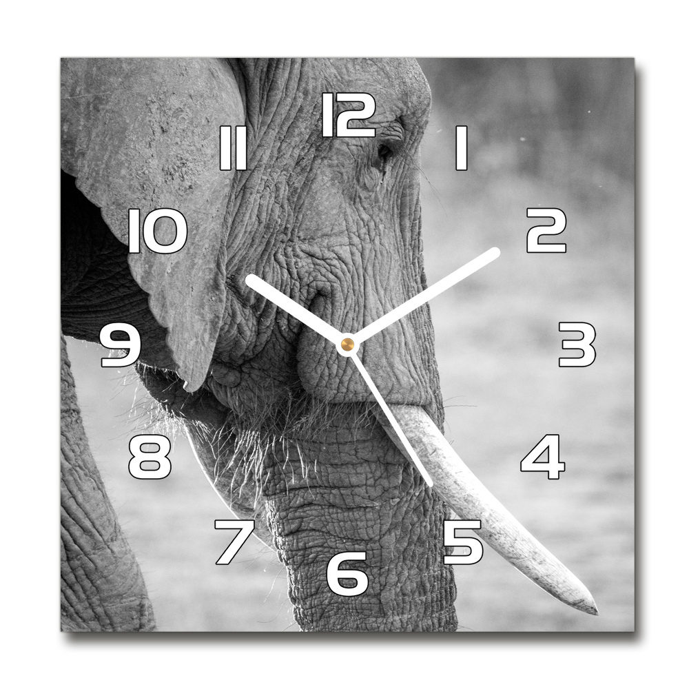 Square wall clock Elephant