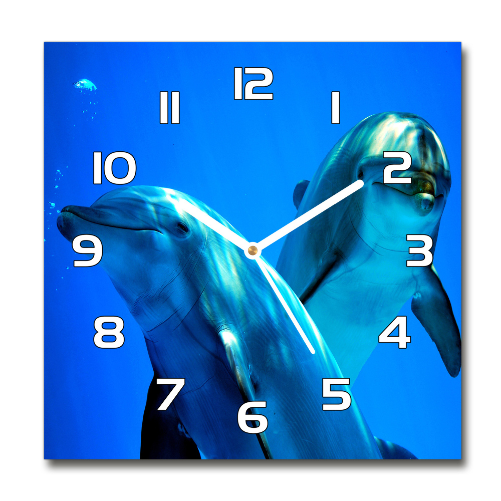 Square wall clock Two dolphins