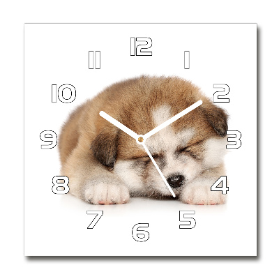 Square glass wall clock Akita puppy