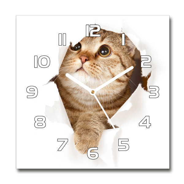 Square wall clock Cat