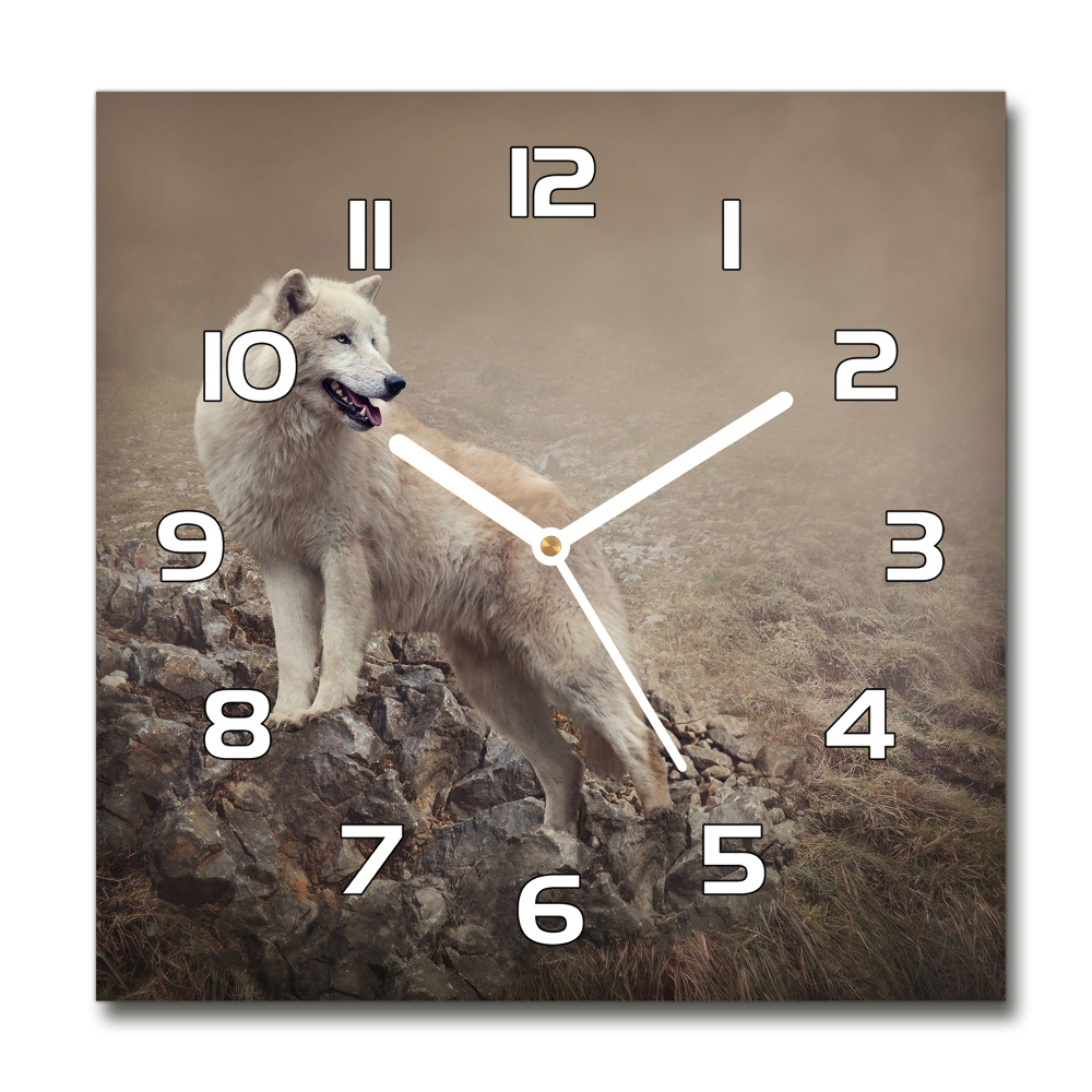 Square wall clock White wolf on the rock