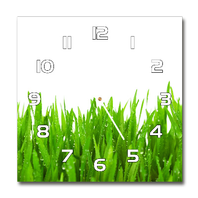 Square wall clock Grass