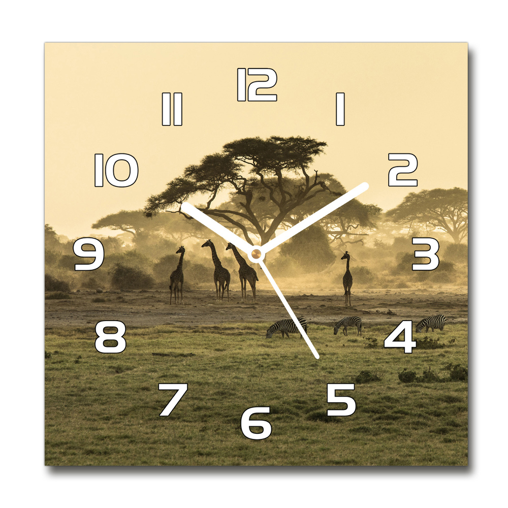 Square glass wall clock Giraffes in the savanna