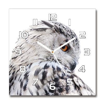 Square wall clock White owl