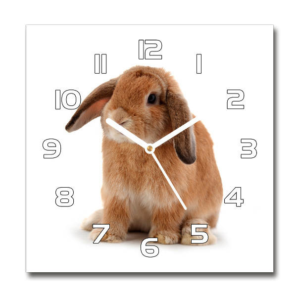 Square wall clock Rabbit ore